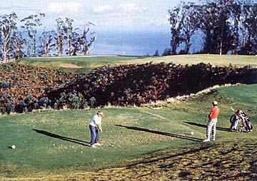 Foto: Madeira Golf