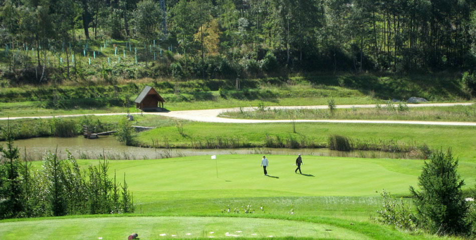 GC Sokolov