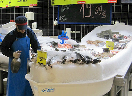 Foto: Fangfrische Fische