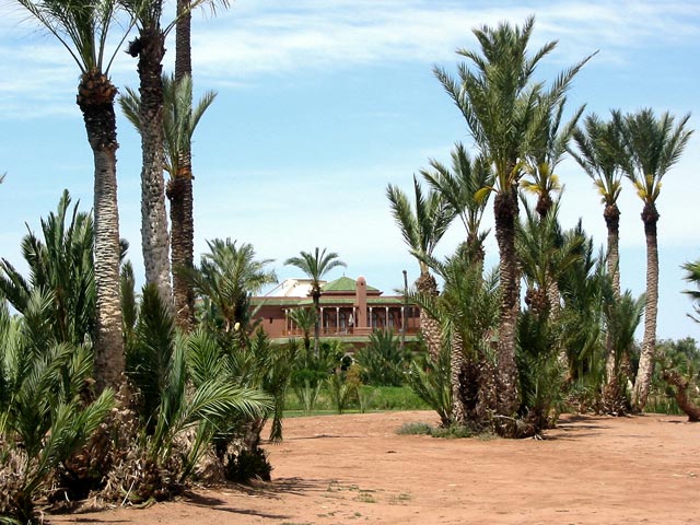 Golf Club Palmeraie