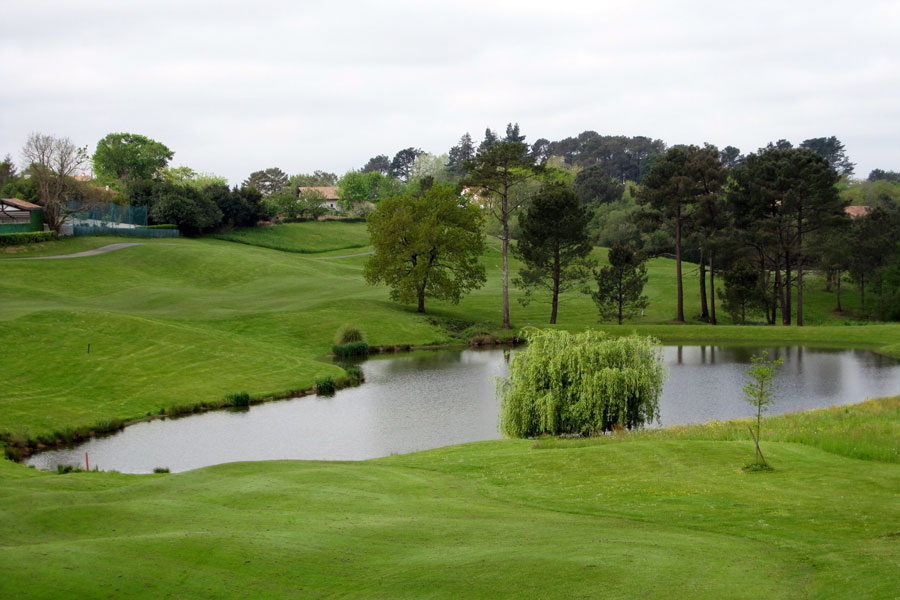 GC dArcangues